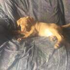 aguilamarrambo OnlyFans Leaks 

 profile picture