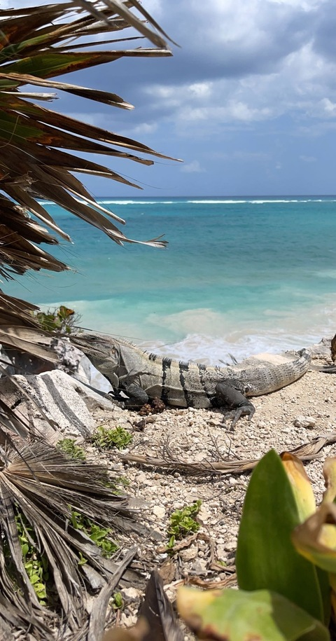 Header of aidenbehrensss