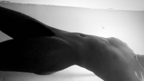 Header of alexanders_h08