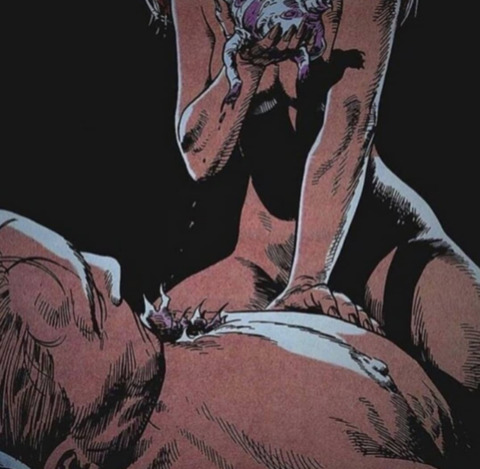 Header of alexxliddell