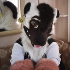 Free access to (all.the.fluffies) Leak OnlyFans 

 profile picture