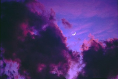 Header of alluring_darling