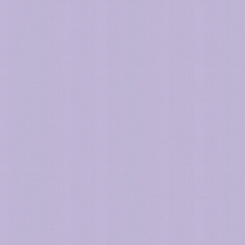 Header of allyheart