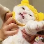 Download anatta OnlyFans videos and photos for free 

 profile picture