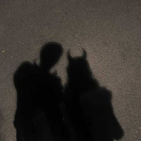 Header of andreeadanielanita