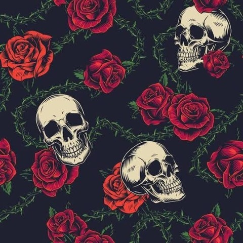 Header of angelicaverdugo