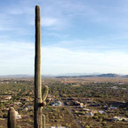 Onlyfans leaked angelodelo 

 profile picture