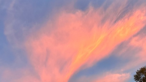 Header of angeluuur
