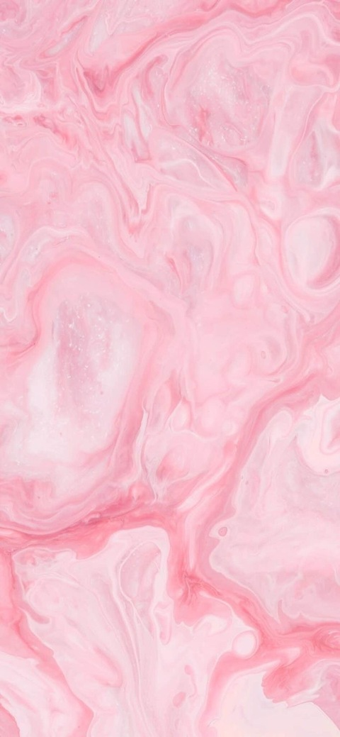 Header of annaeva