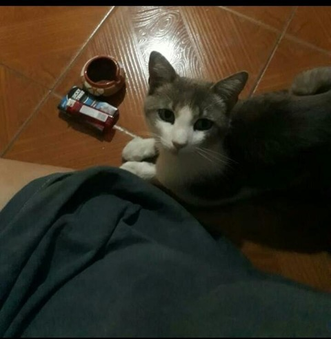 Header of argentinaxx