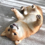 Free access to (@asherahsweetie) Leak OnlyFans 

 profile picture