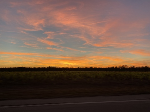 Header of ashlynnm99