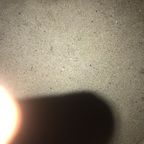 Free access to asianspade Leak OnlyFans 

 profile picture