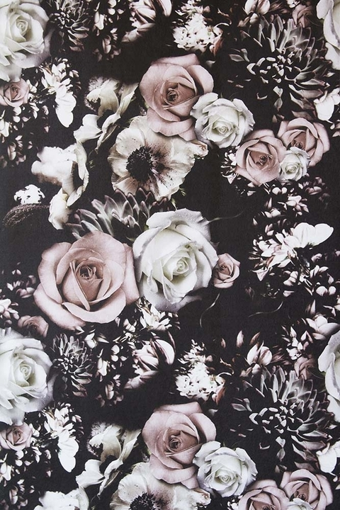 Header of awe123