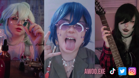 Header of awoo.exee
