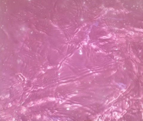 Header of ayacoladax