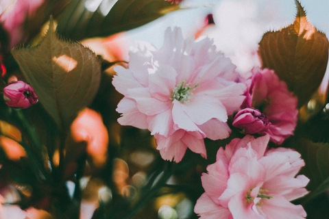 Header of babygirl071801