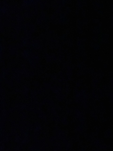 Header of babylaurenmarie