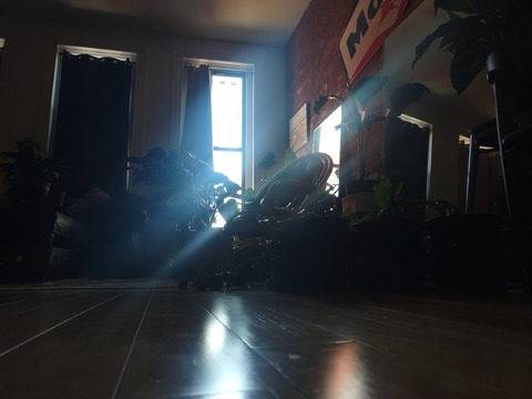 Header of babypeachluv