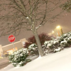 badbitchsummer0316 (Sammy) OnlyFans Leaked Pictures & Videos 

 profile picture