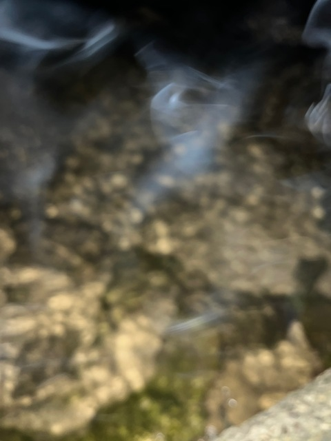 Header of bambi_babyxx
