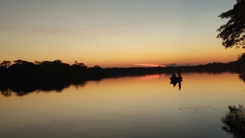 Header of bananeburn