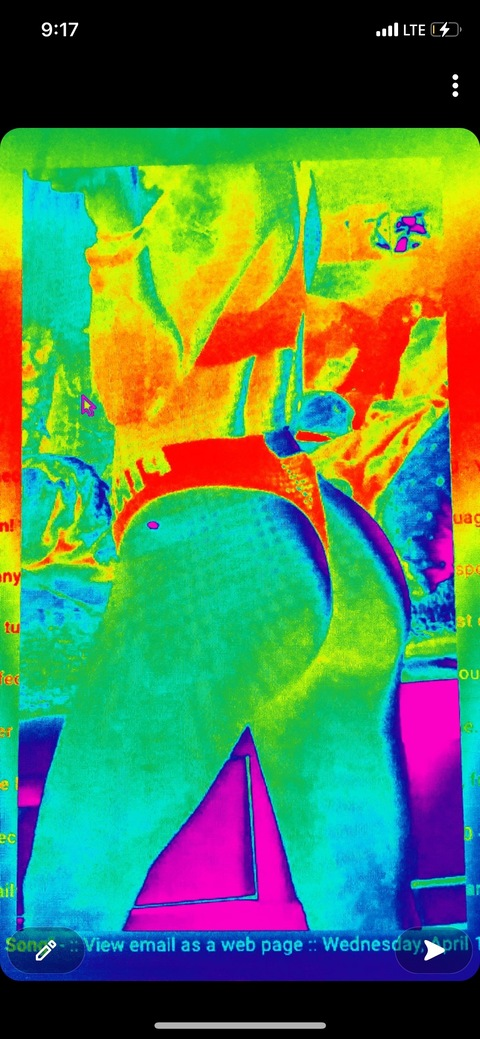 Header of becky444444444444