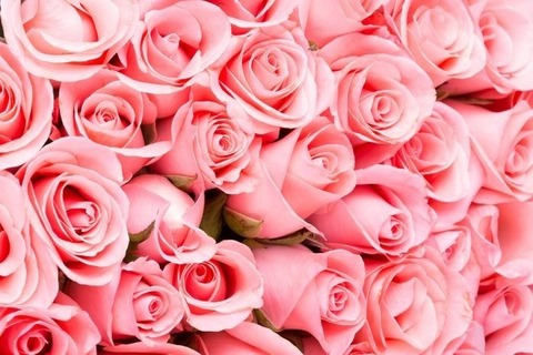 Header of bella.coquine