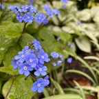 Free access to @bitchtits.xx Leak OnlyFans 

 profile picture