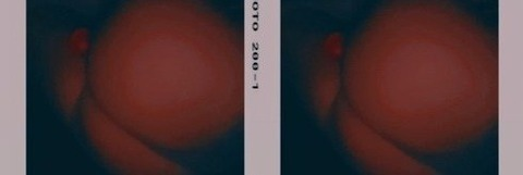 Header of blondieeeeex