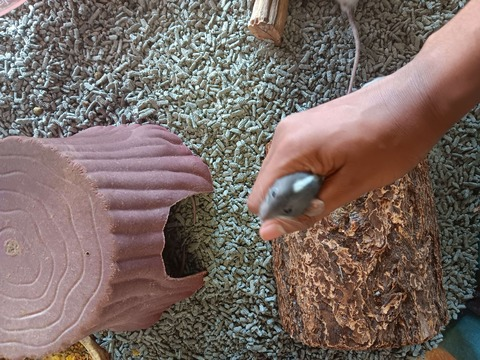 Header of bloodybbhc