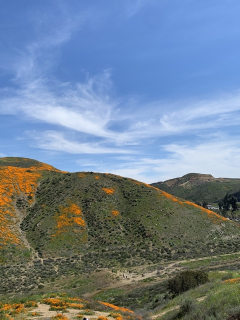 Header of bluecollar69