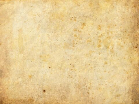 Header of brat_girl