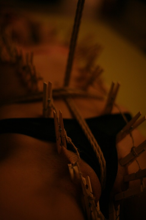Header of bratty_princess99
