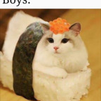 Download brighton OnlyFans leaks for free 

 profile picture