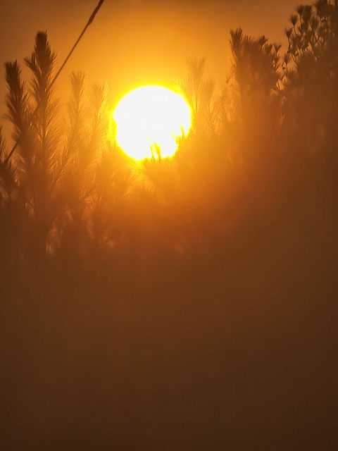 Header of bubbles1798