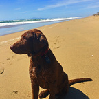 Free access to @buddhamac Leaks OnlyFans 

 profile picture