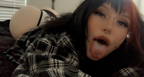 Header of bugsbxbbles