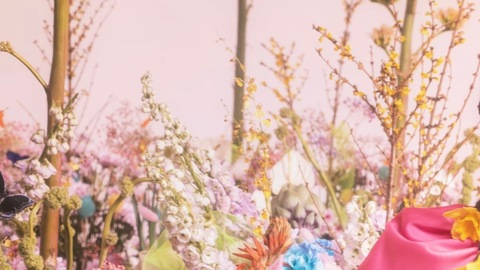 Header of bukunmigrace