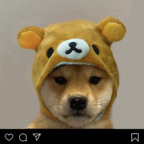 bunniebby OnlyFans Leaks 

 profile picture