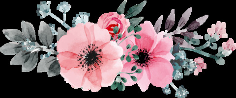 Header of calluna