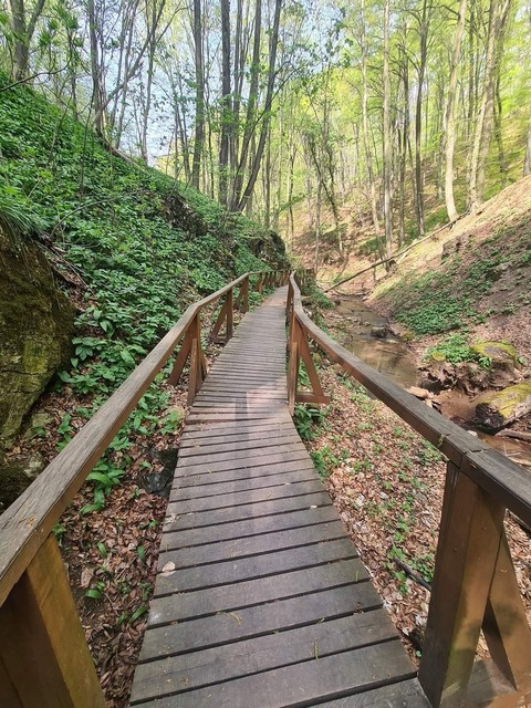 Header of candysbaby_badmojo