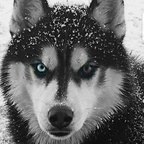 Onlyfans leak captions 

 profile picture