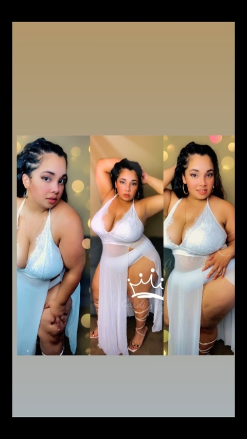 Header of cardisego