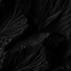 Dangerous Cat (cat_damage) Leaks OnlyFans 

 profile picture