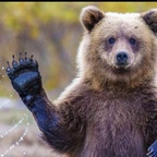 chubbyguy8989 (Chubbyguy) free OnlyFans Leaked Content 

 profile picture