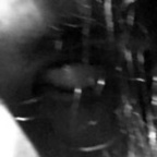 Onlyfans leak cl0wn 

 profile picture