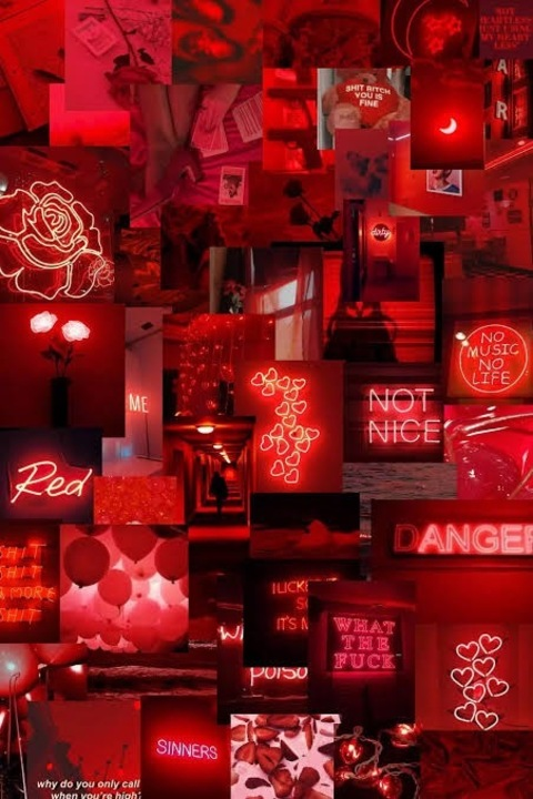 Header of cleobunniexo