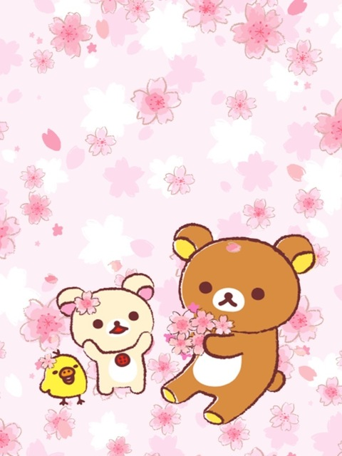 Header of clovermagica