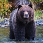 coloradonative12 (Alec) OnlyFans content 

 profile picture